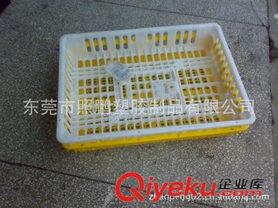 工厂供应农场塑料鸡笼 养殖场运输周转鸡笼-东莞市照鹏塑胶制品提供工厂供应农场塑料鸡笼 养殖场运输周转鸡笼的相关介绍、产品、服务、图片、价格东莞市照鹏塑胶制品、塑l料中空板;防静电中空板;塑胶卡板;防静电卡板;塑胶周转箱;防静电周转箱;塑胶周转箩;塑胶方盘;防静电方盘;塑胶零件盒;防静电零件盒;防静电椅子;塑胶椅子;透明整理箱;塑胶水塔;防静电上板架;塑胶保鲜盒;防静电乌龟车;二手卡板;零件整理柜