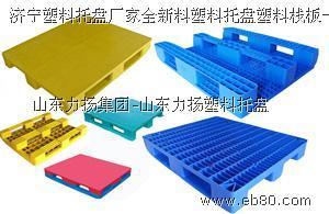 山东力扬集团 专业制造塑料托盘、环卫垃圾桶与周转箱的领先企业