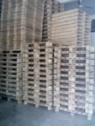 伟诚卡板厂 专业塑料卡板产品展示