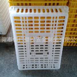 江西山鸡养殖场